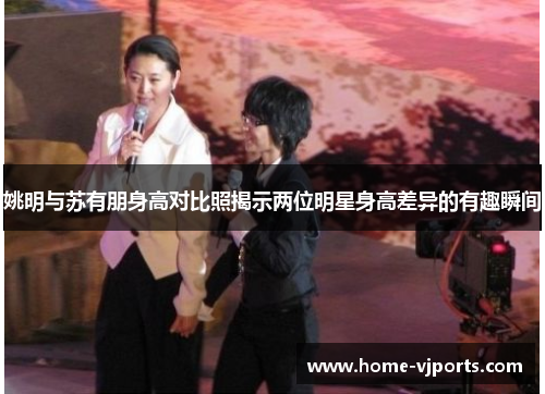 姚明与苏有朋身高对比照揭示两位明星身高差异的有趣瞬间
