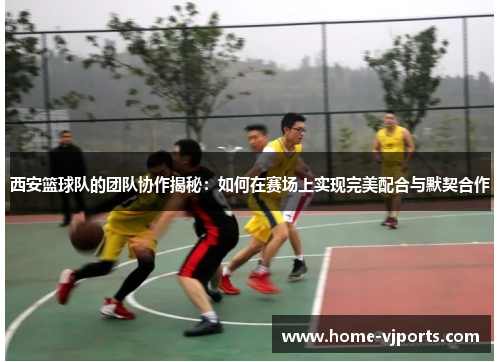 西安篮球队的团队协作揭秘：如何在赛场上实现完美配合与默契合作