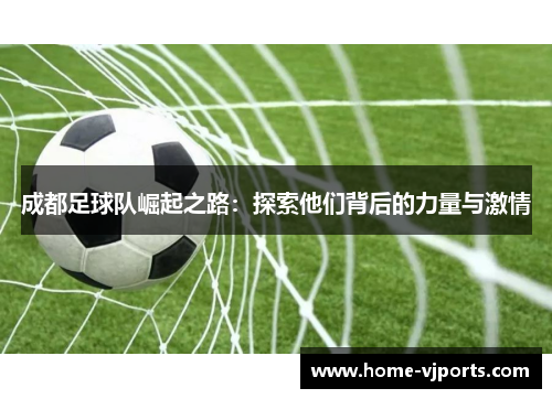 成都足球队崛起之路：探索他们背后的力量与激情