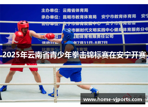 2025年云南省青少年拳击锦标赛在安宁开赛